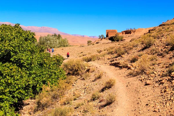 Paysage des collines de l'atlas au Maroc — Photo