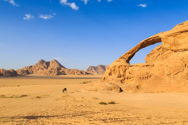 Vista panorámica de la roca arco de color amarillo en el Wadi ron dese — Foto de Stock