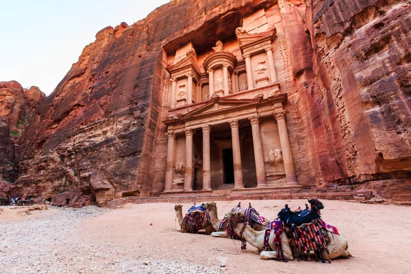 Camellos frente al Tesoro de Petra la antigua ciudad Al Kh — Foto de Stock