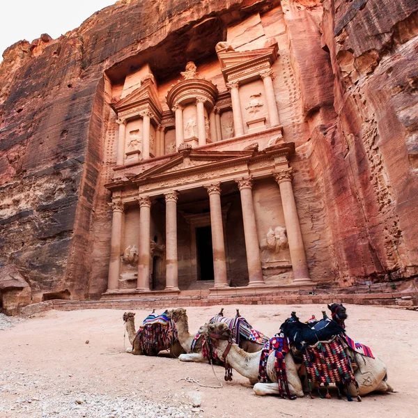 Camellos frente al Tesoro de Petra la antigua ciudad Al Kh — Foto de Stock