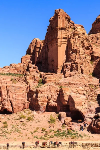 Uneishu Grav Petra Den Antika Staden Khazneh Jordanien Solig Dag — Stockfoto