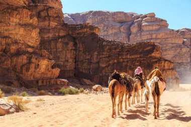 Güneşli bir günde Ürdün Wadi Rum çölde yürüyen deve kervanı