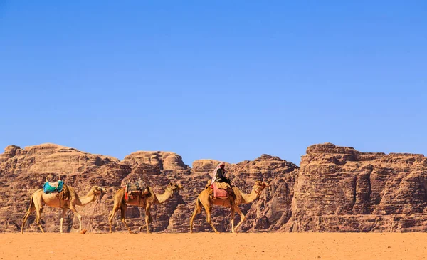 Caravane Chameaux Marchant Dans Désert Wadi Rum Jordanie Par Une — Photo