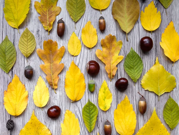 Světlé podzimní kompozici s listy na dřevěné pozadí. Pohled shora, plochý ležel, pohled shora — Stock fotografie