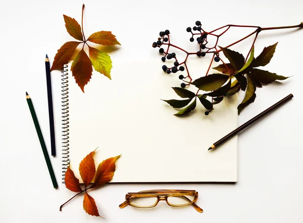 Autumn composition with sketchbook, pencils and glasses, decorated with red leaves and berries. Flat lay, top view — Stock Photo, Image