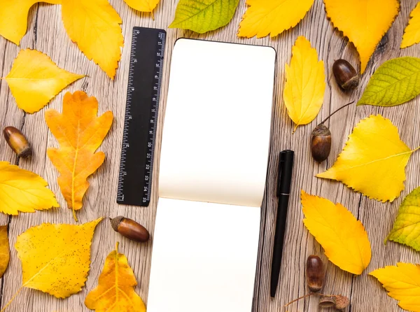 Närbild av notebook, linjal och penna, dekorerad med gula höstlöv och ekollon. Ovanifrån, platt låg — Stockfoto