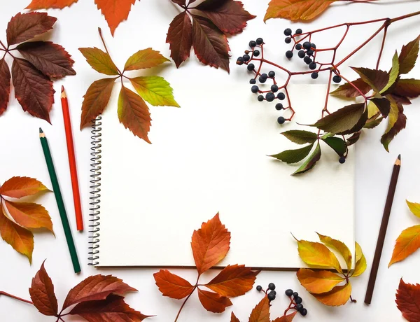 Composição de outono com caderno de esboços e lápis, decorados com folhas vermelhas e bagas. Deitado plano, vista superior — Fotografia de Stock