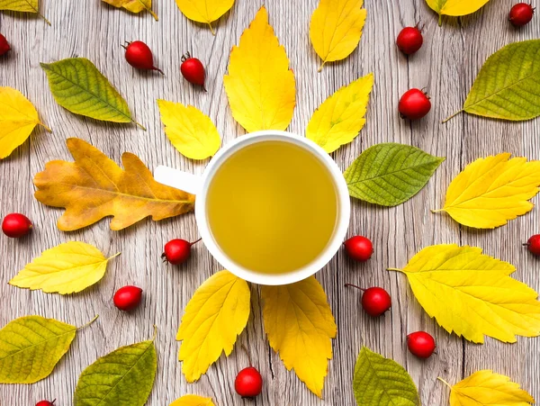 Composición otoñal brillante con taza de té, decorada con hojas sobre fondo de madera. Vista superior, plano, vista desde arriba — Foto de Stock