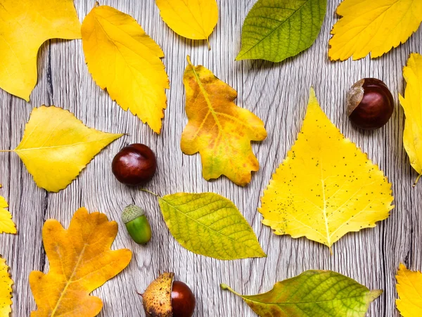 Světlé podzimní kompozici s listy na dřevěné pozadí. Pohled shora, plochý ležel, pohled shora — Stock fotografie