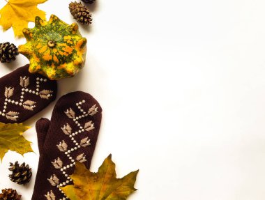 Kabaklar, eldivenler, sonbahar yaprakları, koni ile şık kompozisyon. Üstten Görünüm beyaz arka plan üzerinde. Sonbahar düz yatıyordu