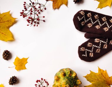 Kabaklar, eldivenler, sonbahar yaprakları, çilek ile şık kompozisyon. Üstten Görünüm beyaz arka plan üzerinde. Sonbahar düz yatıyordu