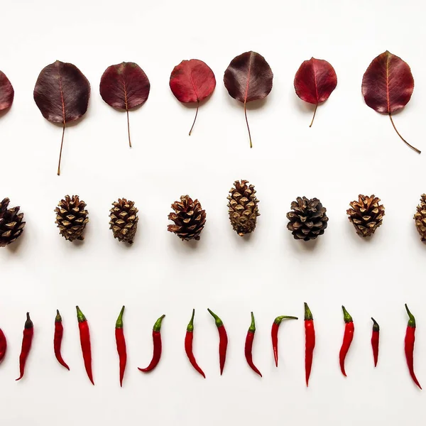 Autumn minimalist composition with leaves, cones and peppers, placed in lines. Top view, flat lay, white background