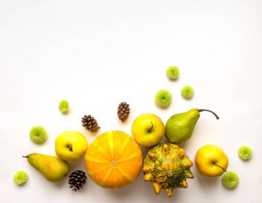 Kabaklar, meyveler, çiçekler, koni şık bileşimi. Üstten Görünüm beyaz arka plan üzerinde. Sonbahar düz yatıyordu