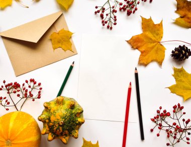 Mektup, pumpkins, sonbahar yaprakları, çilek şık bileşimi. Üstten Görünüm beyaz arka plan üzerinde. Sonbahar düz yatıyordu