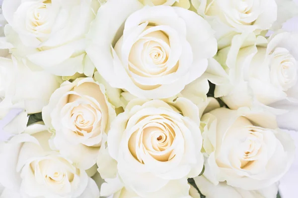Perfect bouquet of creme luxurious roses for wedding, birthday or Valentine's day. Top view — Stock Photo, Image