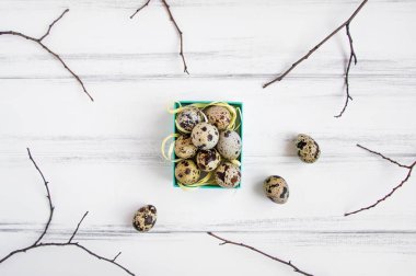 Paskalya arka plan, bıldırcın yumurtası parlak bir kutu içinde ağaç dalları ile dekore edilmiştir. Düz yatıyordu, üst yukarıdan görünümü