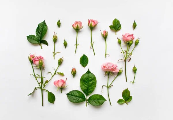 Patrón decorativo con rosas rosadas, hojas y brotes sobre fondo blanco. Piso tendido, vista superior — Foto de Stock