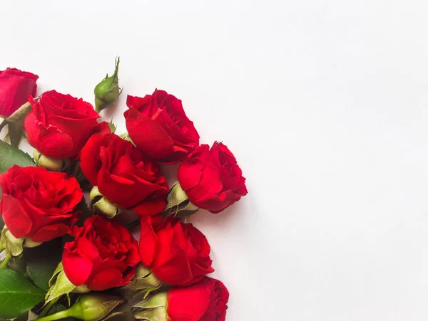Czerwona róża kwiaty na białym tle. Widok płaski świeckich, top — Zdjęcie stockowe