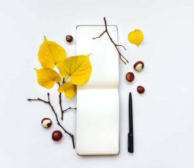 Defter ve kalem, sarı sonbahar ile dekore edilmiş Closeup yaprakları ve dalları. Üstten Görünüm, düz yatıyordu