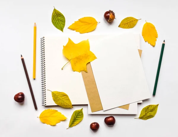 Autumn composition with sketchbook and pencils, decorated with yellow and green leaves. Flat lay, top view — Stock Photo, Image