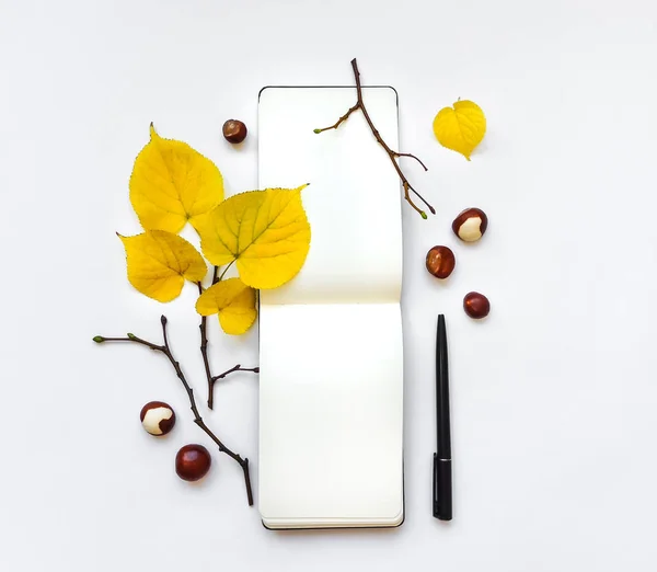 Gros plan de carnet et stylo, décoré avec des feuilles et des branches jaune automne. Vue de dessus, plan plat Image En Vente