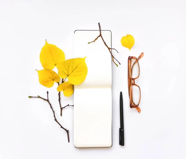 Fechar-se de caderno aberto e copos em fundo branco. Decoração de outono. Vista superior, flat lay — Fotografia de Stock