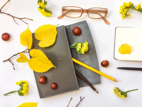 Close-up van pen leergeval, notebook en glazen op witte achtergrond. Herfst decoratie. Bovenaanzicht, plat lag Stockfoto