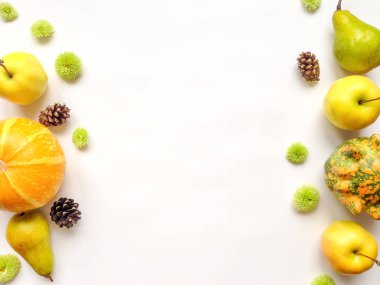 Kabaklar, meyveler, çiçekler, koni şık bileşimi. Üstten Görünüm beyaz arka plan üzerinde. Sonbahar düz yatıyordu