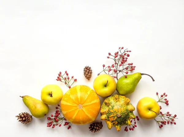 Kabaklar, meyve, çilek, koni şık bileşimi. Üstten Görünüm beyaz arka plan üzerinde. Sonbahar düz yatıyordu