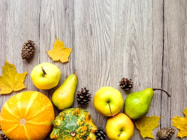 Kabaklar, sonbahar yaprakları ve koniler şık bileşimi. Üstten Görünüm ahşap arka plan üzerinde. Sonbahar düz yatıyordu