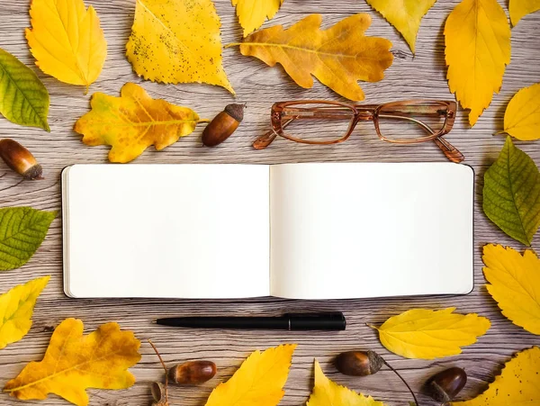 特写的写生、 眼镜和笔，装饰着黄色秋叶和橡子。顶视图，平躺 — 图库照片