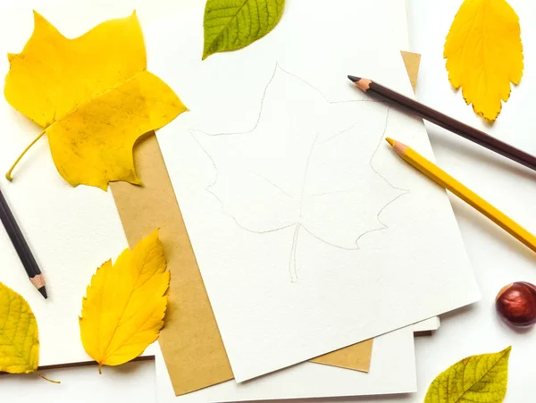 Podzimní kompozici s skicák a pastelky, zdobí žluté a zelené listy. Plochá ležel, horní pohled — Stock fotografie