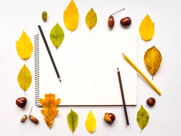 Jesienna kompozycja z szkicownik i ołówki, ozdobione żółtych i zielonych liści. Widok płaski świeckich, top — Zdjęcie stockowe