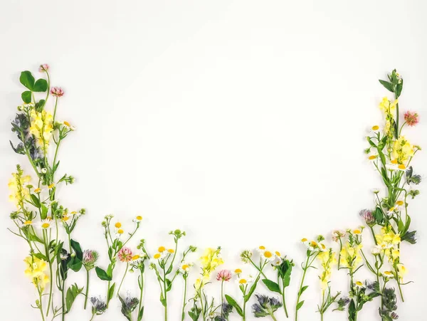 Farbenfroher heller Rahmen aus Wiesenblumen. Flay, Ansicht von oben — Stockfoto