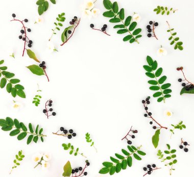 Renkli parlak yuvarlak çerçeve yaprakları, meyveler ve çiçekler. Düz yatıyordu, en iyi görünümü