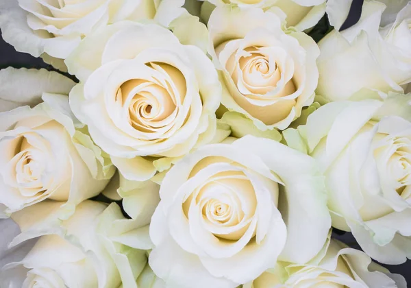 Doskonały bukiet róż luksusowy krem na ślub, urodziny lub Walentynki. Widok z góry — Zdjęcie stockowe
