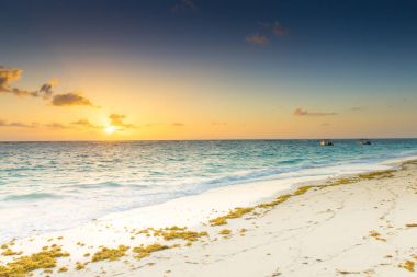 Karayip kumsal günü