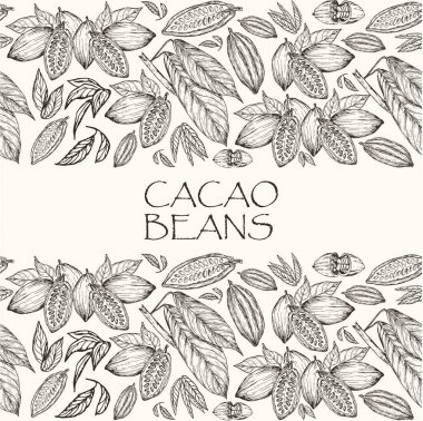 Vektör çizim. Kabataslak elle çizilmiş kakao çekirdekleri, Kakao ağacı yapraklar ve dallar. Dikişsiz desen, marka stilin öğesini.