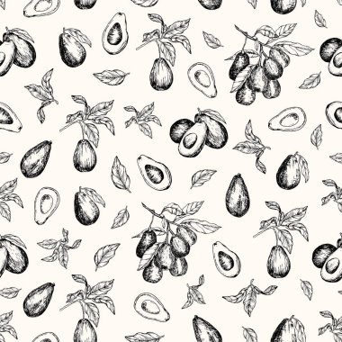 Vektör çizim. İzole avokado meyve, avokado yaprakları ve dalları. Vektör seamless modeli.