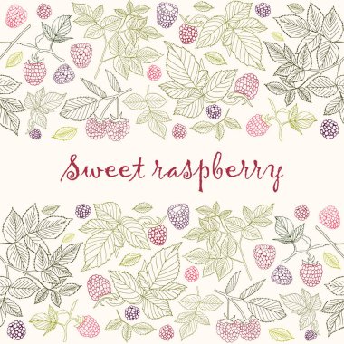 Vektör çizim. Ahududu şube ve çilek. Kesintisiz renk desen.