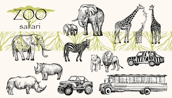 Vector hand dras skissade djur set. Zoo safari: elefant, zebra, lejon, noshörning, giraff och safari buss, safari jeep. — Stock vektor