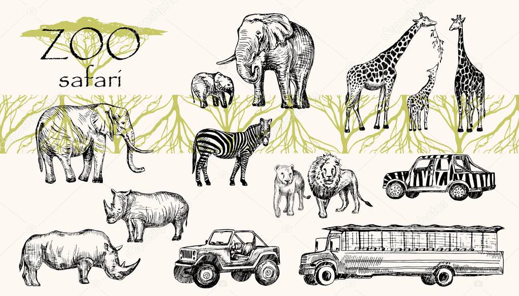 Vector hand drawn sketched animal set. Zoo safari: elephant, zebra, lion, rhino, giraffe and safari bus, safari jeep.