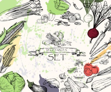 Vektör çizim. Çizilmiş sebze kroki: havuç, pancar, biber, kereviz, bezelye, soğan, lahana, domates, kabak, patlıcan, Mısır. Tüm nesnelerin tam ve izole.