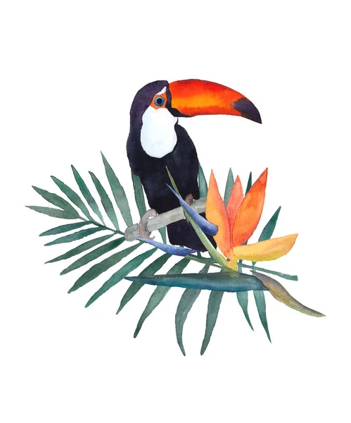 Akvarell illustration på vit bakgrund. Toucan, palmblad och strelitzia blommor. Hand ritad skiss. Skriva ut design. — Stockfoto