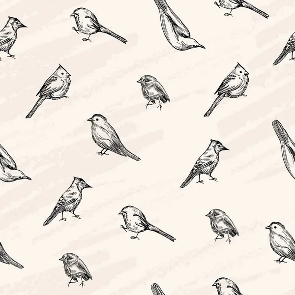 Patrón sin costura vectorial. Bosquejo vectorial, aves dibujadas estilo pluma  . — Vector de stock