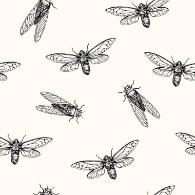 Vektör çizim, seamless modeli. Ağustos böcekleri. Vektör kalem tarzı kroki.