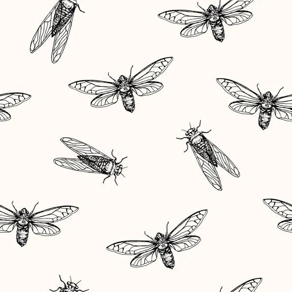 Vektör çizim, seamless modeli. Ağustos böcekleri. Vektör kalem tarzı kroki.