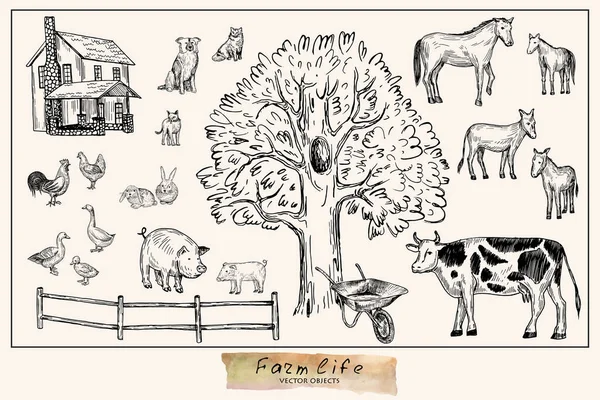 Vektorillustration. Pennformat dras gård djur set: ko, häst, åsna, gris, kanin, anka, höna, kuk, hund, katter. Vektorobjekt. — Stock vektor