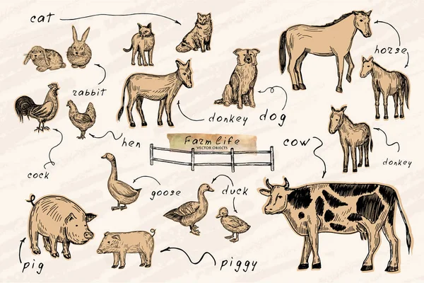 Vector illustration. Pen style drawn farm animals set: cow,horse, donkey, pig, rabbits, duck, hen, cock, dog, cats. Vector objects on craft background. — Stock Vector