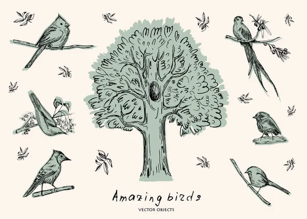 Vektorillustration. Penna stil skiss objekt. Fåglar på grenar. Blad och träd. — Stock vektor
